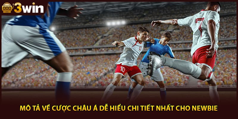 Mô tả về cược Châu Á dễ hiểu chi tiết nhất cho newbie
