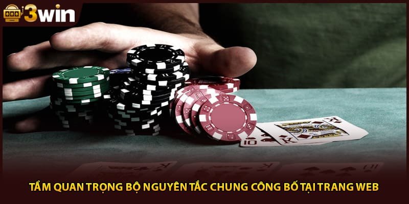 Tầm quan trọng bộ nguyên tắc chung công bố tại trang web